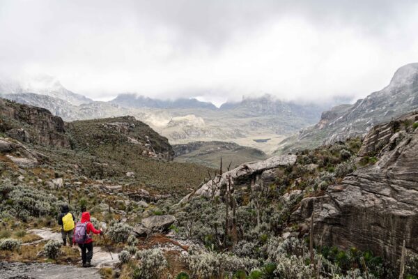 5 Days Rwenzori Hike