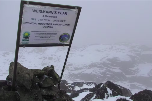 Rwenzori Weismann's Peak Hike