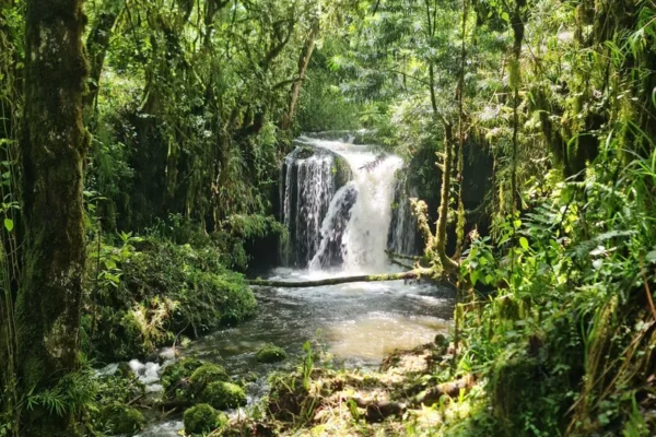 2 Days Elgon Trekking